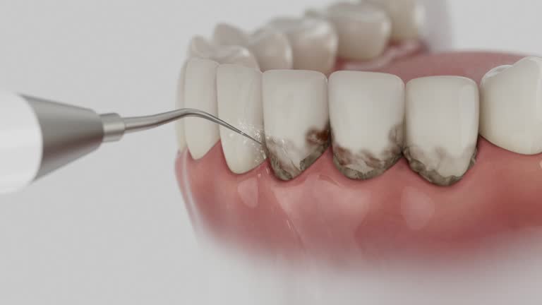 Reliable Dental contractor in Wade Hampton, SC by Dentist Open Now